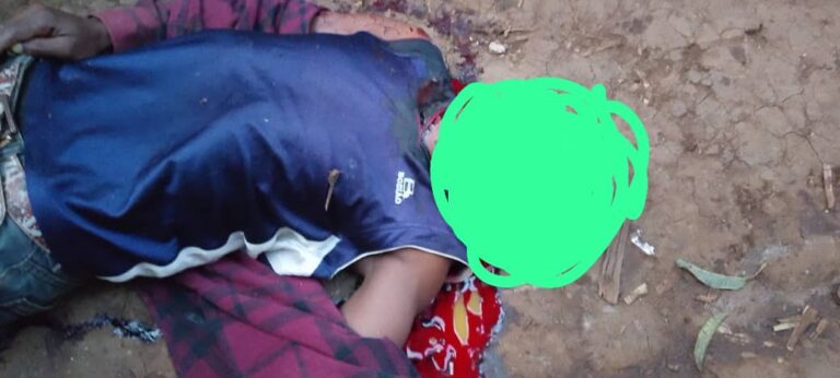 Massacres of civilians in Irhambi-Katana, Kaniola and Bukavu: Pamoja kwa Amani condemns and calls on the high command of the AFC-M23